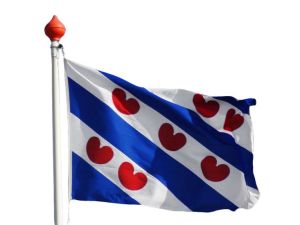 vlag-provincie-friesland-100x150-cm-waterborg